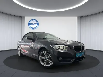 Brugt BMW 220