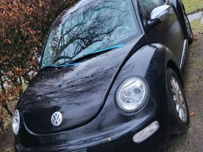 gebraucht VW Beetle super Anfänger Auto