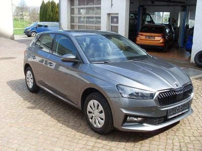 Second-hand Skoda Fabia Selection 95 CP (69 kW) 2025 Gri Hatchback
