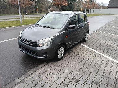 Usata Suzuki Celerio Club 68 CV (50 kW) 2017 Grigio Utilitaria
