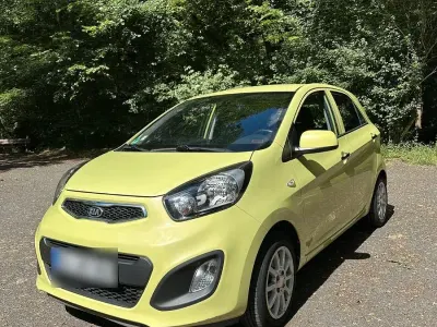 Gebraucht Kia Picanto FIFA World Cup Edition 86 PS (63 kW) 2014 Grün Kleinwagen