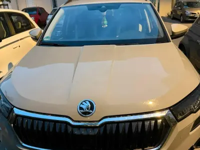 Gebraucht Skoda Karoq 150 PS (110 kW) 2023 Grau SUV