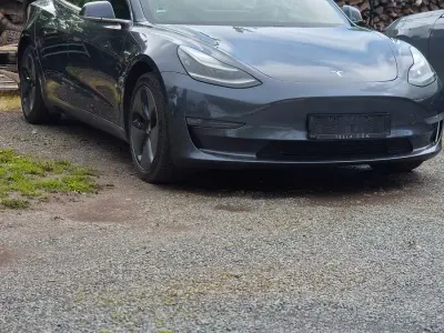 Gebraucht Tesla Model 3 Long Range AWD 366 kW (498 PS) 2019 Grau Limousine