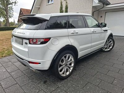 Second-hand Land Rover Range Rover evoque 150 CP (110 kW) 2013 Alb SUV