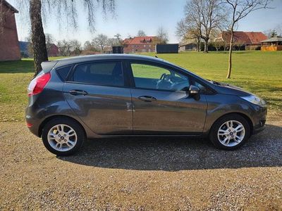 Gebraucht Ford Fiesta Trend 101 PS (74 kW) 2016 Grau Limousine