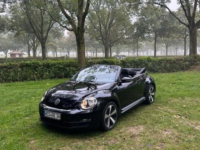 VW Beetle