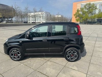 gebraucht Fiat Panda City Life