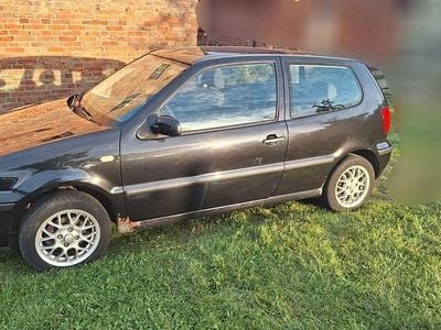 VW Polo