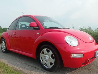 VW Beetle