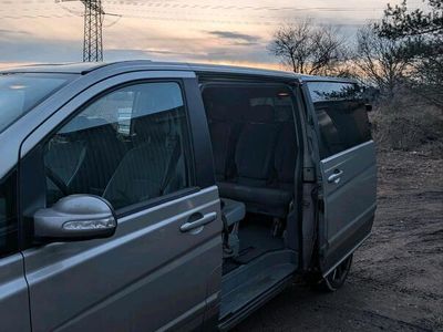 Mercedes Viano