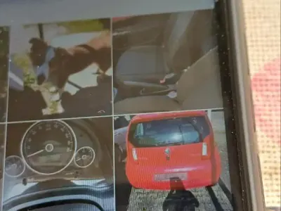 Gebraucht Skoda Citigo 60 PS (44 kW) 2012 Rot Kleinwagen