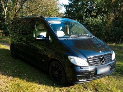Mercedes Viano