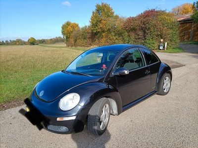 VW Beetle