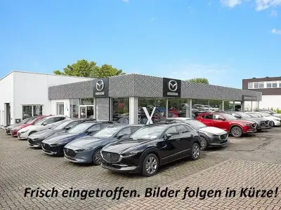 Gebraucht Toyota C-HR Team 116 PS (85 kW) 2019 Grey metallic SUV