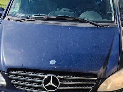 Mercedes Viano