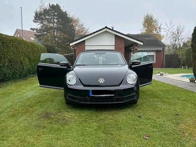 VW Beetle