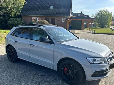 Usata Audi SQ5 Comfort 313 CV (230 kW) 2015 Grigio SUV