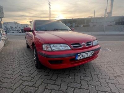 gebraucht Nissan Primera 2.0 SLX Traveller