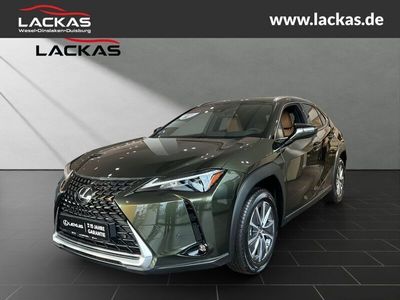 Lexus UX 300e