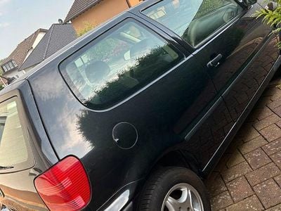 VW Polo