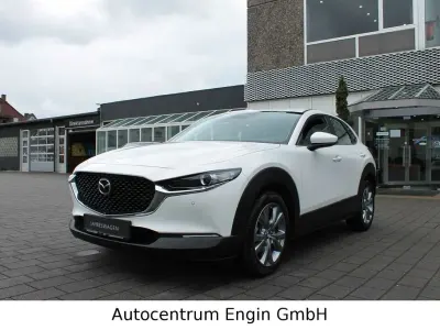 Brugt Mazda CX-30
