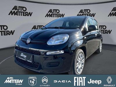 Nouă Fiat Panda Icon 65 CP (47 kW) 2026 Negru Hatchback
