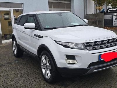 Gebraucht Land Rover Range Rover evoque Pure 241 PS (177 kW) 2012 Weiß SUV