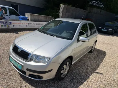 Second-hand Skoda Fabia Cool Edition 54 CP (39 kW) 2006 Argintiu Hatchback