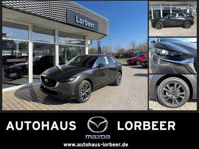 gebraucht Mazda CX-30 M-HYBRID-X 186PS SELECTION A18 DES-P PRE-P NAVI