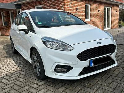 Gebraucht Ford Fiesta ST-Line 101 PS (74 kW) 2019 Weiß Kleinwagen