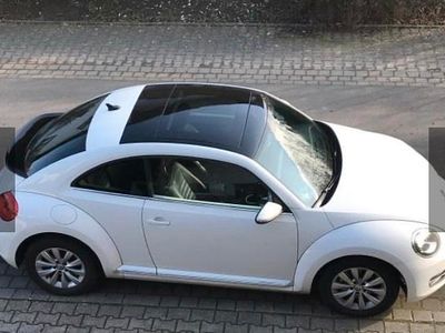 VW Beetle