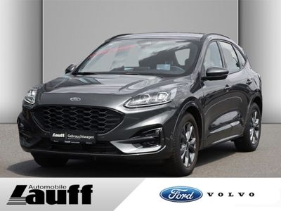 Gebraucht Ford Kuga ST-Line 150 PS (110 kW) 2023 Grau SUV
