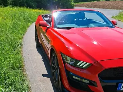 Occasion Ford Mustang