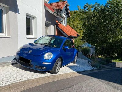 VW Beetle