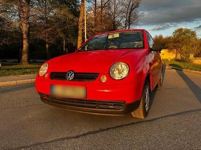 Usata VW Lupo 75 CV (55 kW) 2004 Rosso Utilitaria