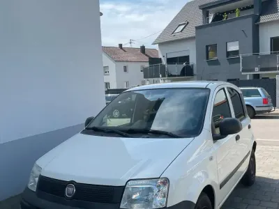 Gebraucht Fiat Panda 54 PS (39 kW) 2010 Weiß Kleinwagen