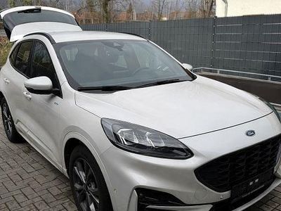 Gebraucht Ford Kuga ST-Line 120 PS (88 kW) 2023 Weiß SUV