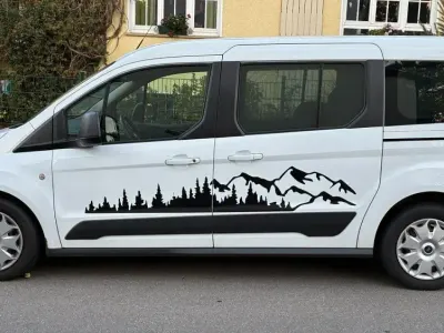 Gebraucht Ford Tourneo