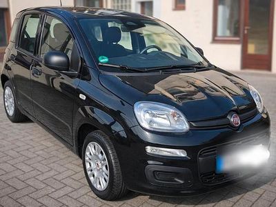 Neu Fiat Panda 70 PS (51 kW) 2025 Schwarz Kleinwagen