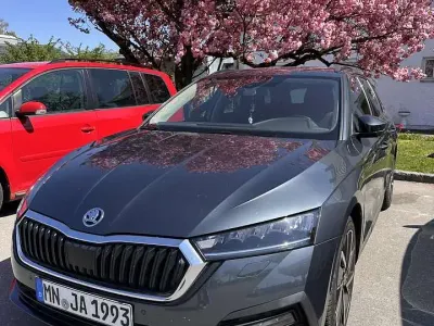 Gebraucht Skoda Octavia Clever 150 PS (110 kW) 2021 Grau Kombi