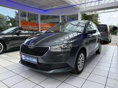 Gebraucht Skoda Fabia Cool Plus 60 PS (44 kW) 2020 Quarzgrau metallic (metallic) Kleinwagen