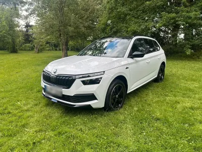 Gebraucht Skoda Kamiq