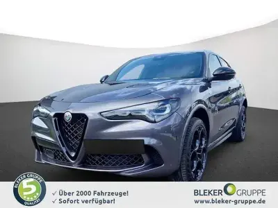 Gebraucht Alfa Romeo Stelvio Quadrifoglio 519 PS (381 kW) 2024 Grau SUV