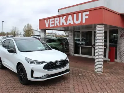 Neu Ford Kuga ST-Line X 242 PS (177 kW) 2026 Frost weiß SUV