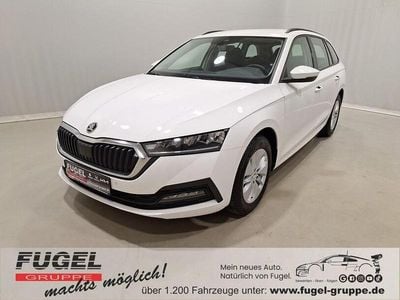 Gebraucht Skoda Octavia 116 PS (85 kW) 2024 Candyweiss Kombi