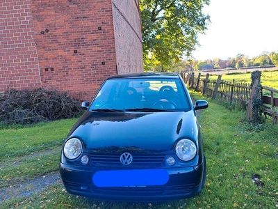 gebraucht VW Lupo 