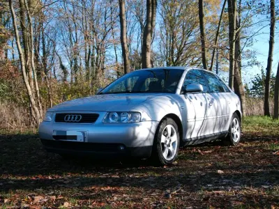Gebraucht Audi A3 Basis 125 PS (91 kW) 2002 Silber Kleinwagen