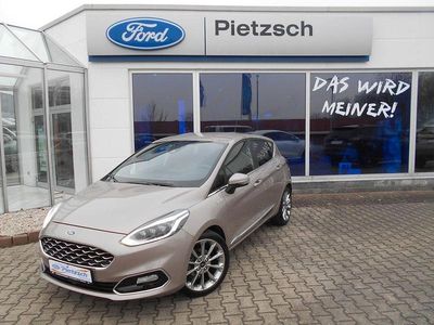 Gebraucht Ford Fiesta Vignale 101 PS (74 kW) 2018 Beige Kleinwagen