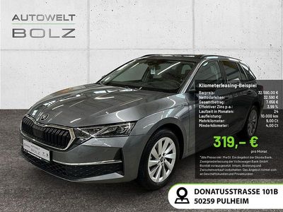 Grau Gebraucht 2025 Skoda Octavia Selection Limousine | 32.590 € (Fairer Preis)