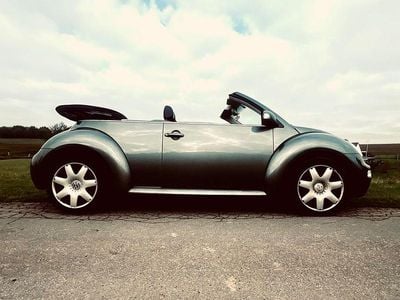 VW Beetle